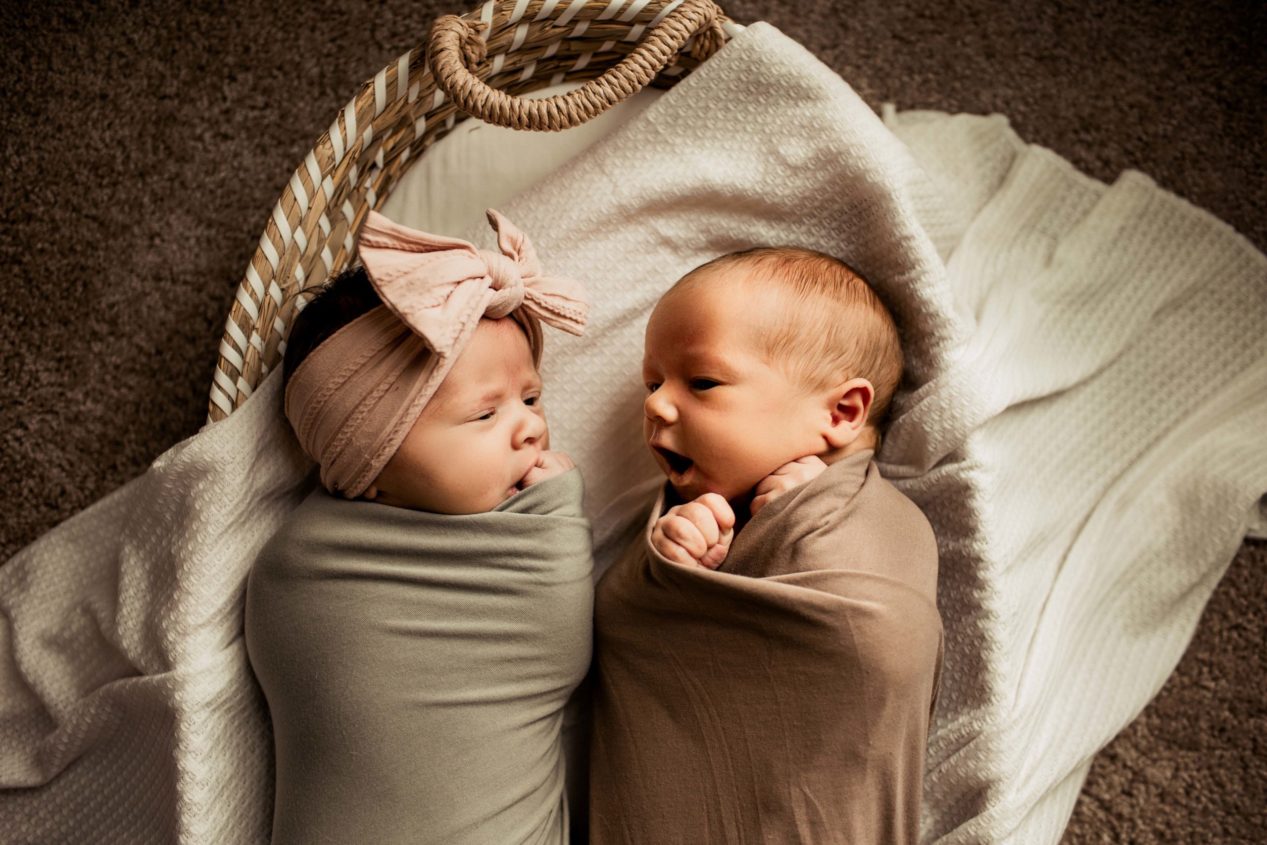 Mechanicsburg PA newborn twins