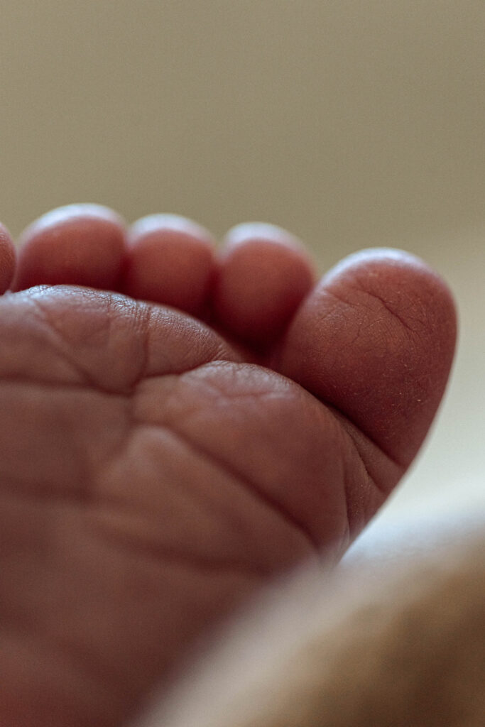 newborn baby toes detail